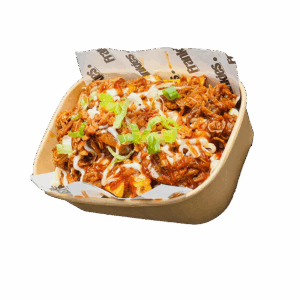 BBQ Pulled Pork Loaded Fries